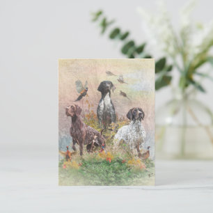 Deutsch Kurzzeiger (APS), ein Jagdphäe Postkarte