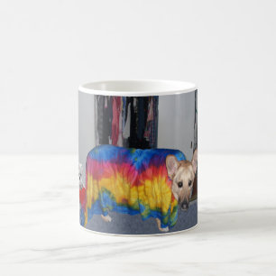 Deutsch Langhaar Modellierung Kleidung Kaffeetasse