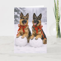 Deutsch Langhaar Weihnachtskarte