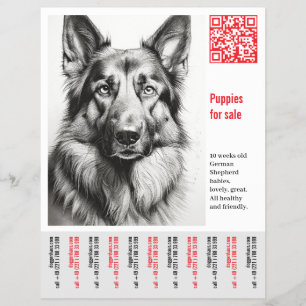 Deutsch Schäferhund Flyer