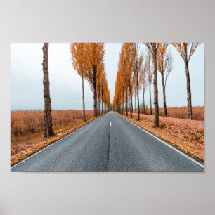 Deutsche Alleenstraße Poster