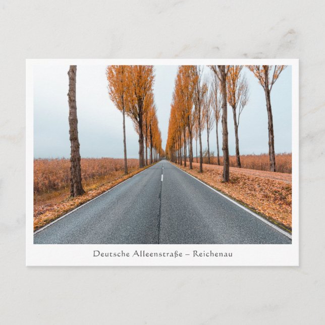 Deutsche Alleenstraße Postkarte (Vorderseite)