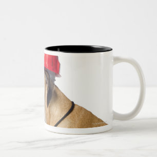 Deutsche Dogge, die einen roten Bausturzhelm träg Zweifarbige Tasse