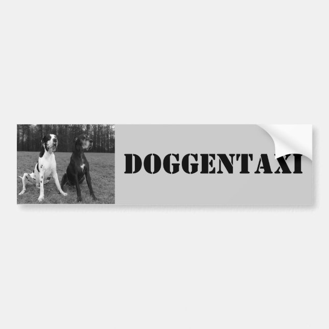Deutsche Dogge, Great Dane,Harlekin,Taxi,Aufkleber Autoaufkleber (Vorne)