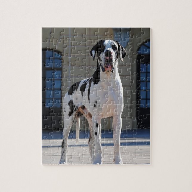 Deutsche Dogge, Great Dane,Hunde,Dogue Allemand (Vertikal)