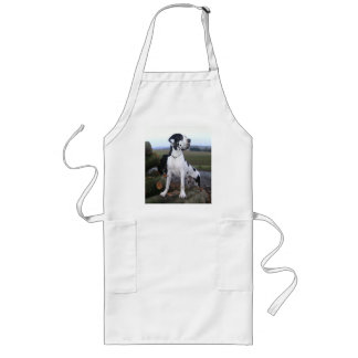 Deutsche Dogge, Great Dane,Hunde,Dogue Allemand Lange Schürze