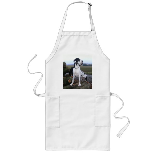Deutsche Dogge, Great Dane,Hunde,Dogue Allemand Lange Schürze (Vorne)