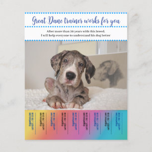 Deutsche Dogge Hundetrainer Flyer