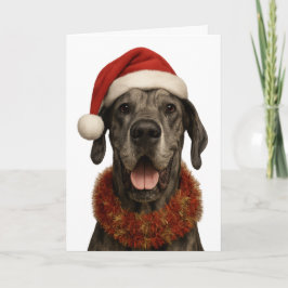 Deutsche Dogge in einer Weihnachtsmannmütze Weihna Karte