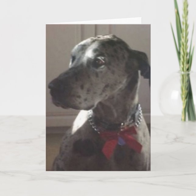Deutsche Dogge Karte (Vorderseite)