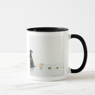 Deutsche Dogge, Katze, Meerschweinchen, Tasse