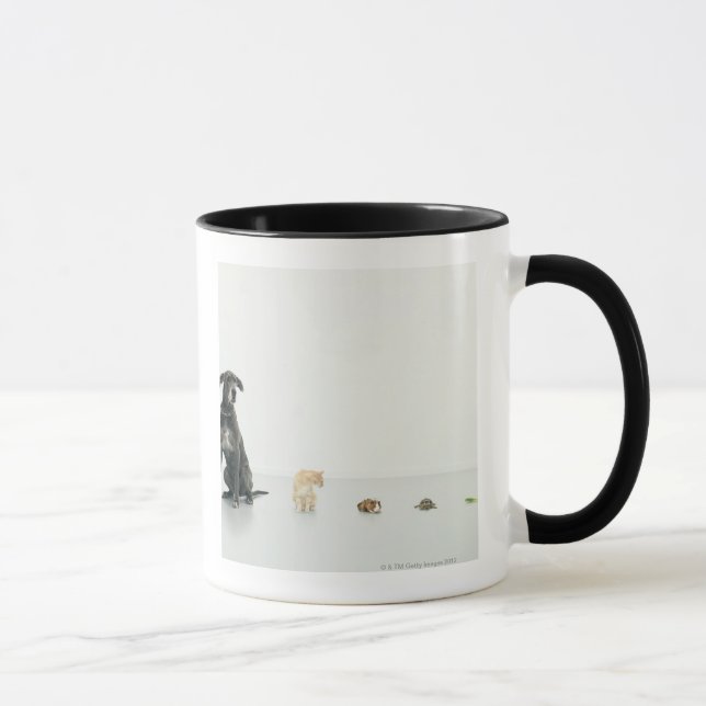Deutsche Dogge, Katze, Meerschweinchen, Tasse (Rechts)