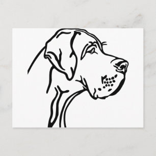 Deutsche Dogge Kopfzeichnung Postkarte