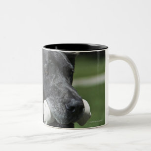 Deutsche Dogge mit dem Knochen Zweifarbige Tasse