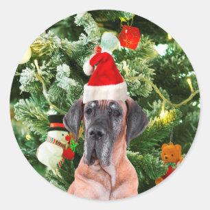 Deutsche Dogge mit Weihnachtsbaum-Geschenkboxen un Runder Aufkleber