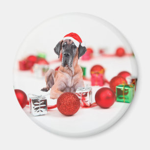 Deutsche Dogge mit Weihnachtsdekoration Geschenke Magnet