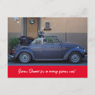 Deutsche Dogge passt in einen Käfer Postkarte