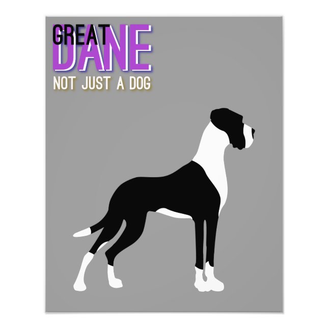 Deutsche Dogge Poster (Vorne)