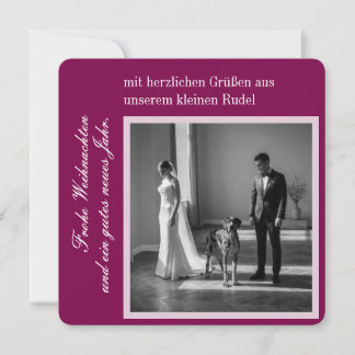 Deutsche Dogge Weihnachten