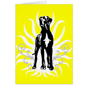 Deutsche Dogge Zucht