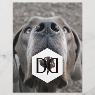 Deutsche Doggen Züchter Flyer