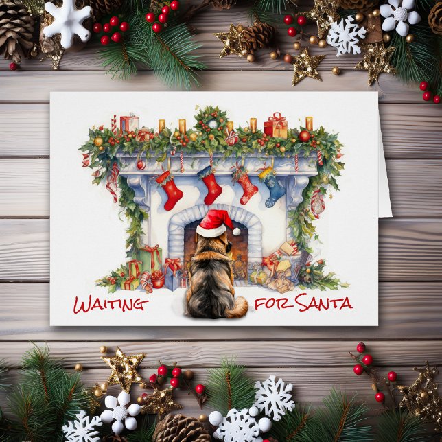 Deutsche Hirte warten auf Weihnachts-Feuerplatz (Von Creator hochgeladen)