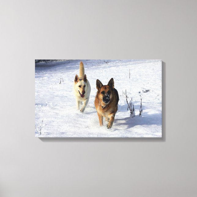 Deutsche Hirten, die im Schnee laufen Leinwanddruck (Vorderseite)