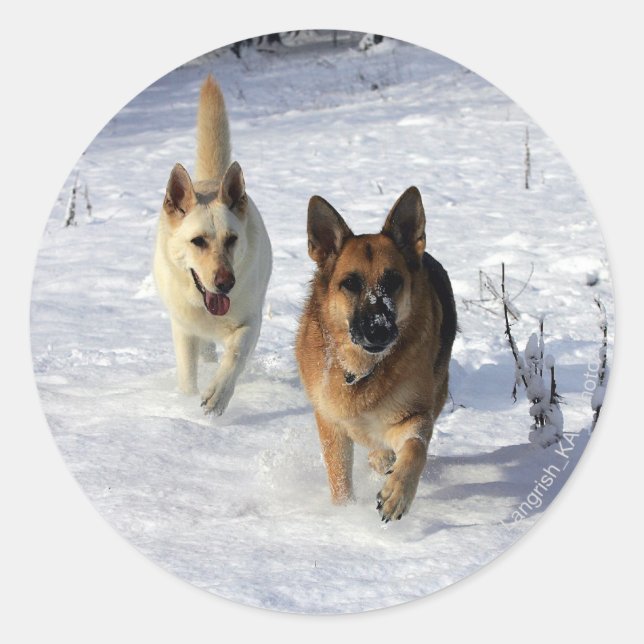 Deutsche Hirten, die im Schnee laufen Runder Aufkleber (Vorderseite)