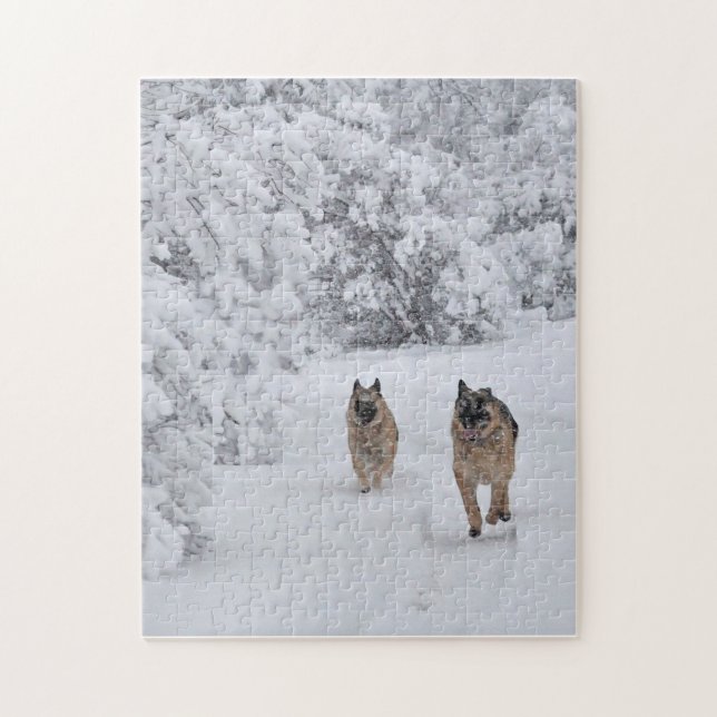 Deutsche Hirten im Snow-Jigsaw-Puzzle (Vertikal)