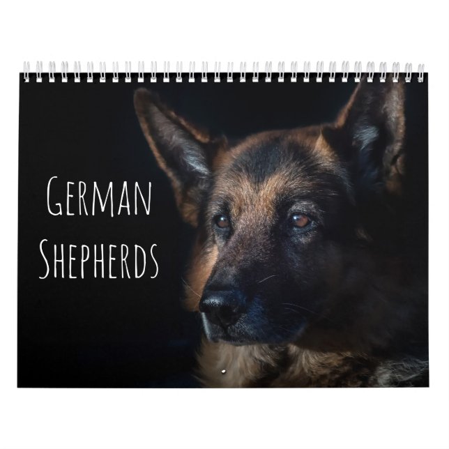 Deutsche Hirten Kalender (Titelbild)
