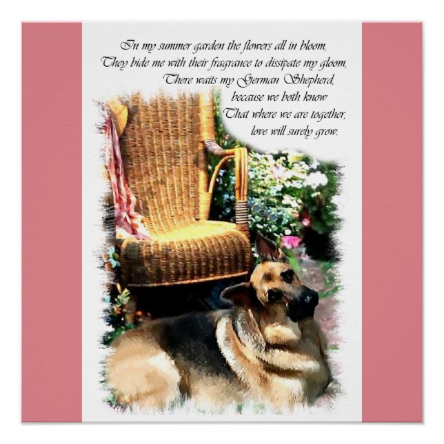 Deutsche Hirten Liebe Geschenke Poster (Vorderseite)