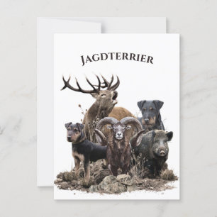 Deutsche Jagdterrier Postkarte