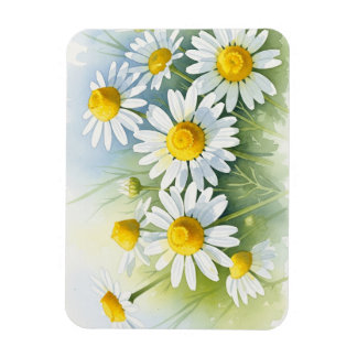 Deutsche Kamille in Blüte Magnet