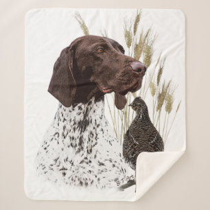 Deutsche Kurzhaarige Pointer (GSP) Postkarten Kaff Sherpadecke