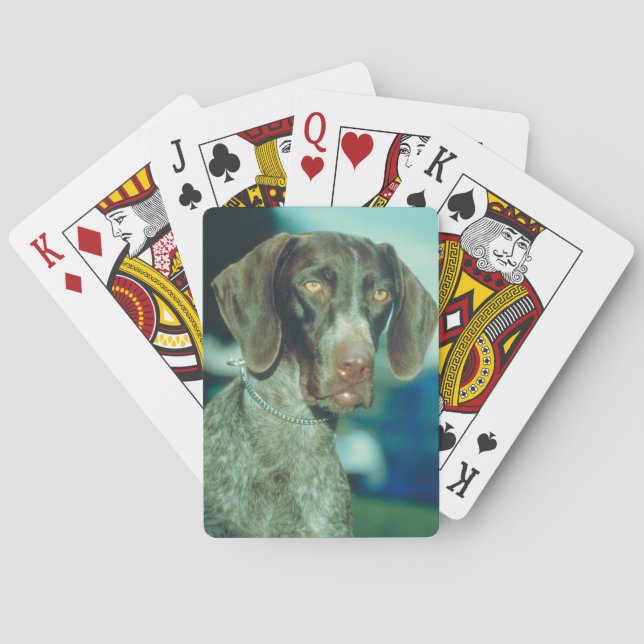 Deutsche Kurzhundekarten Spielkarten (Rückseite)