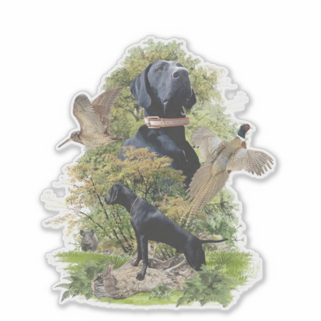 Deutsche Kurzzeiger (APS) Aufkleber (Vorderseite)