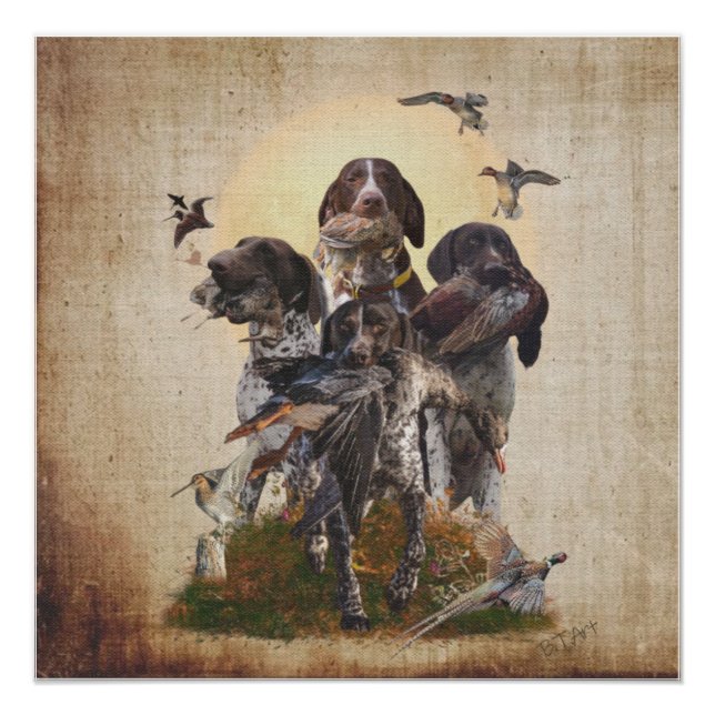 Deutsche Kurzzeiger-Band Poster (Vorderseite)