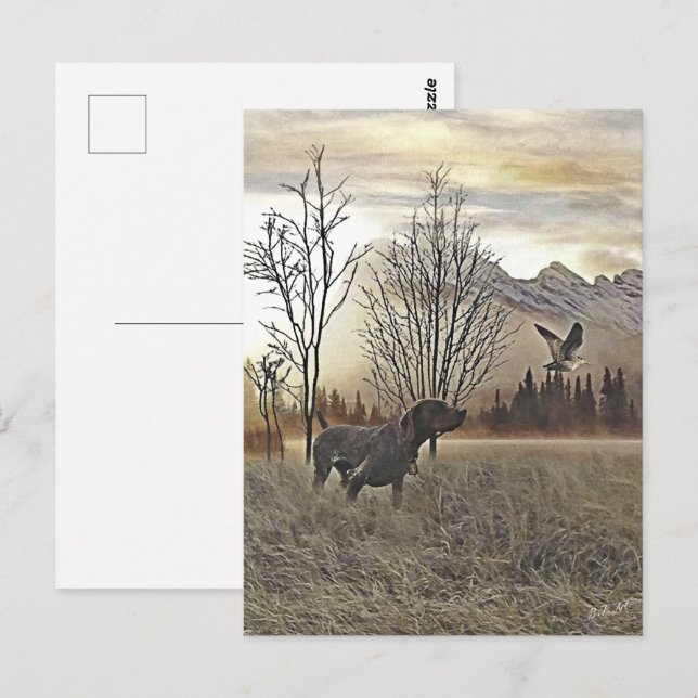 Deutsche Kurzzeiger Postkarte (Vorne/Hinten)