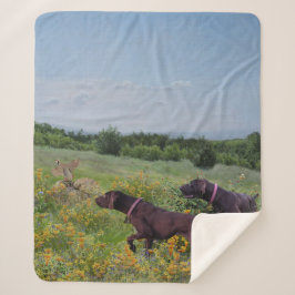 Deutsche Kurzzeiger Sherpadecke