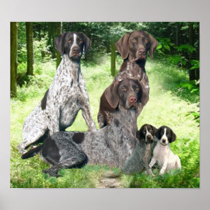 Deutsche Kurzzeigerfamilie Print Poster