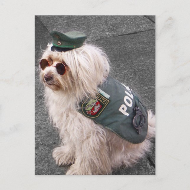 Deutsche Polizei Hund mit Handschellen Postkarte (Vorderseite)