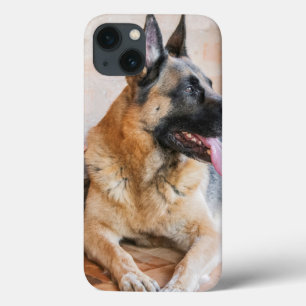 Deutsche Schafe im Wasserbecken Case-Mate iPhone Hülle