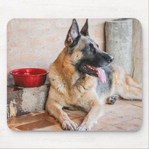 Deutsche Schafe im Wasserbecken Mousepad