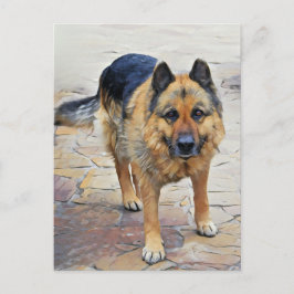 Deutsche Schäferhund Postkarte
