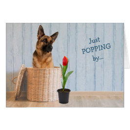 Deutsche Schäferhund Wicker Basket Geburtstagkarte