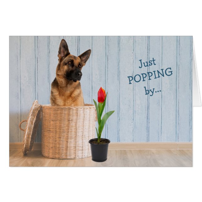 Deutsche Schäferhund Wicker Basket Geburtstagkarte (Vorderseite (Horizontal))