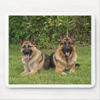 Deutsche Schäferhunde Mousepad