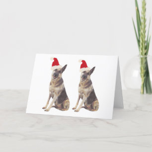 Deutsche Schäferhunde-Weihnachtsmannmütze Feiertagskarte