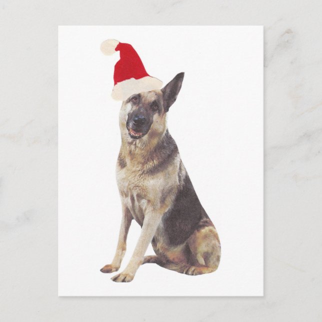 Deutsche Schäferhunde-Weihnachtsmannmütze Feiertagspostkarte (Vorderseite)