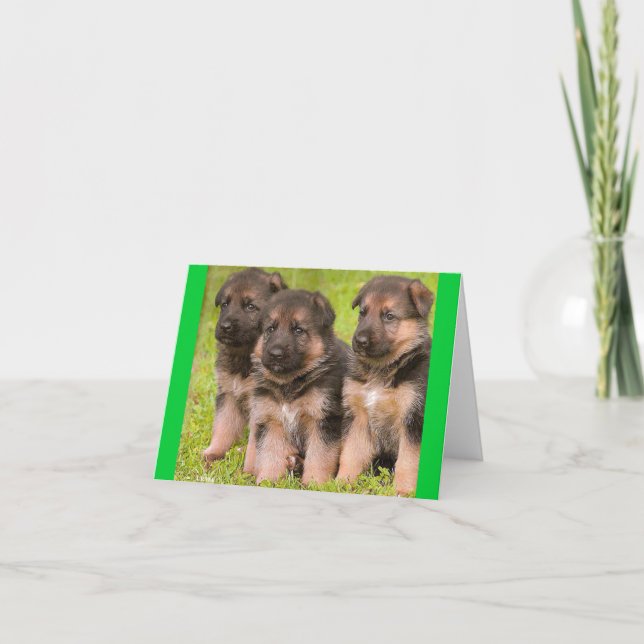 Deutsche Schäferhunde Welpenhund - Blankokarte Karte (Vorderseite)